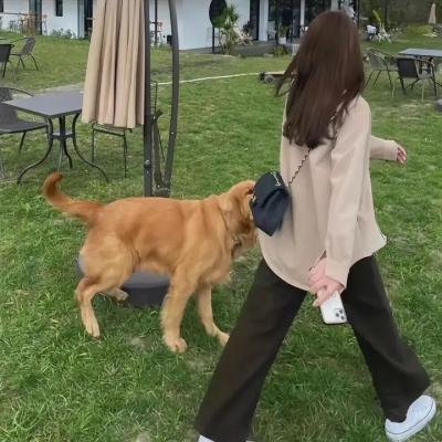 红琼